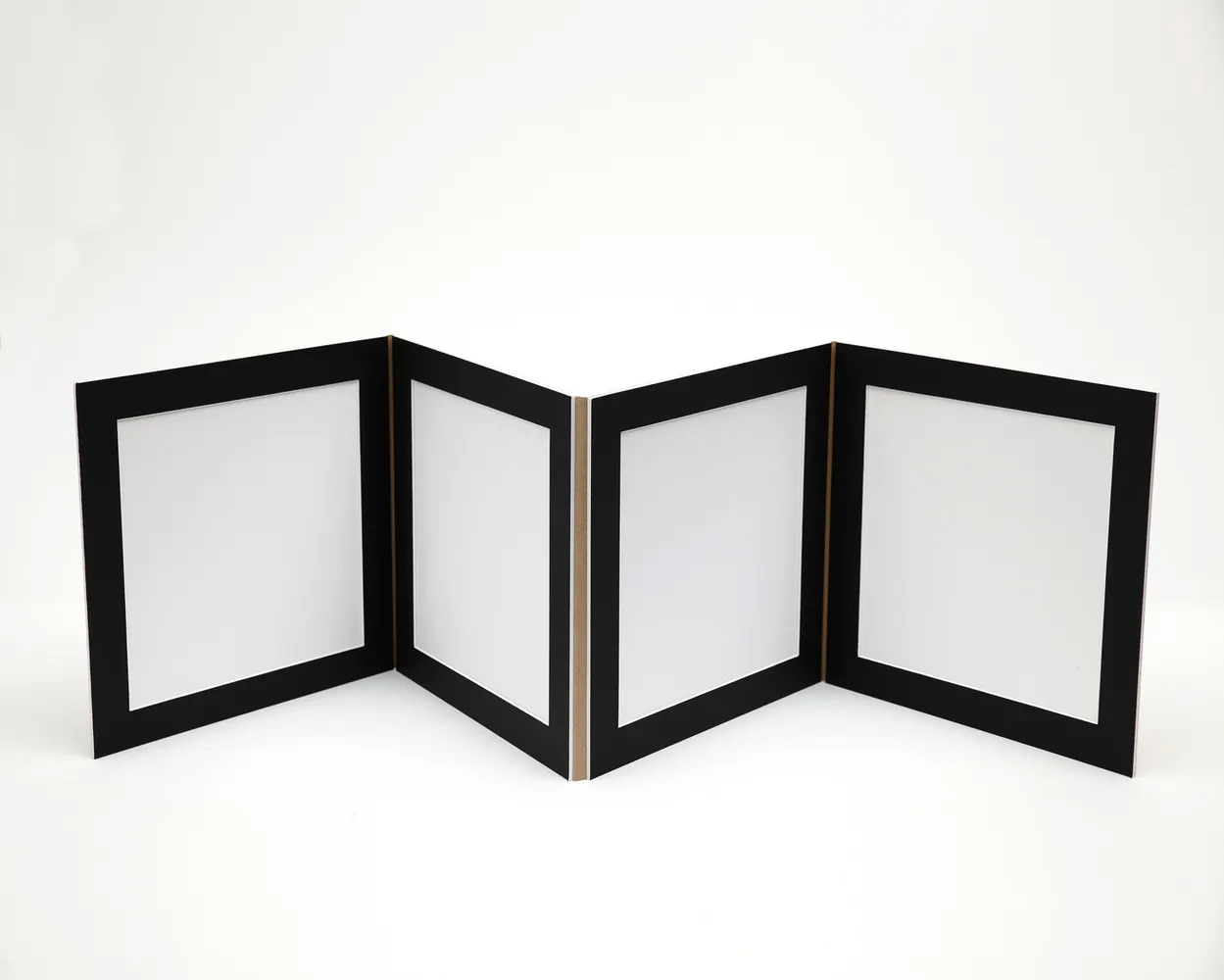 Dípticos Trípticos Cuadrípticos PP (Sin foto)