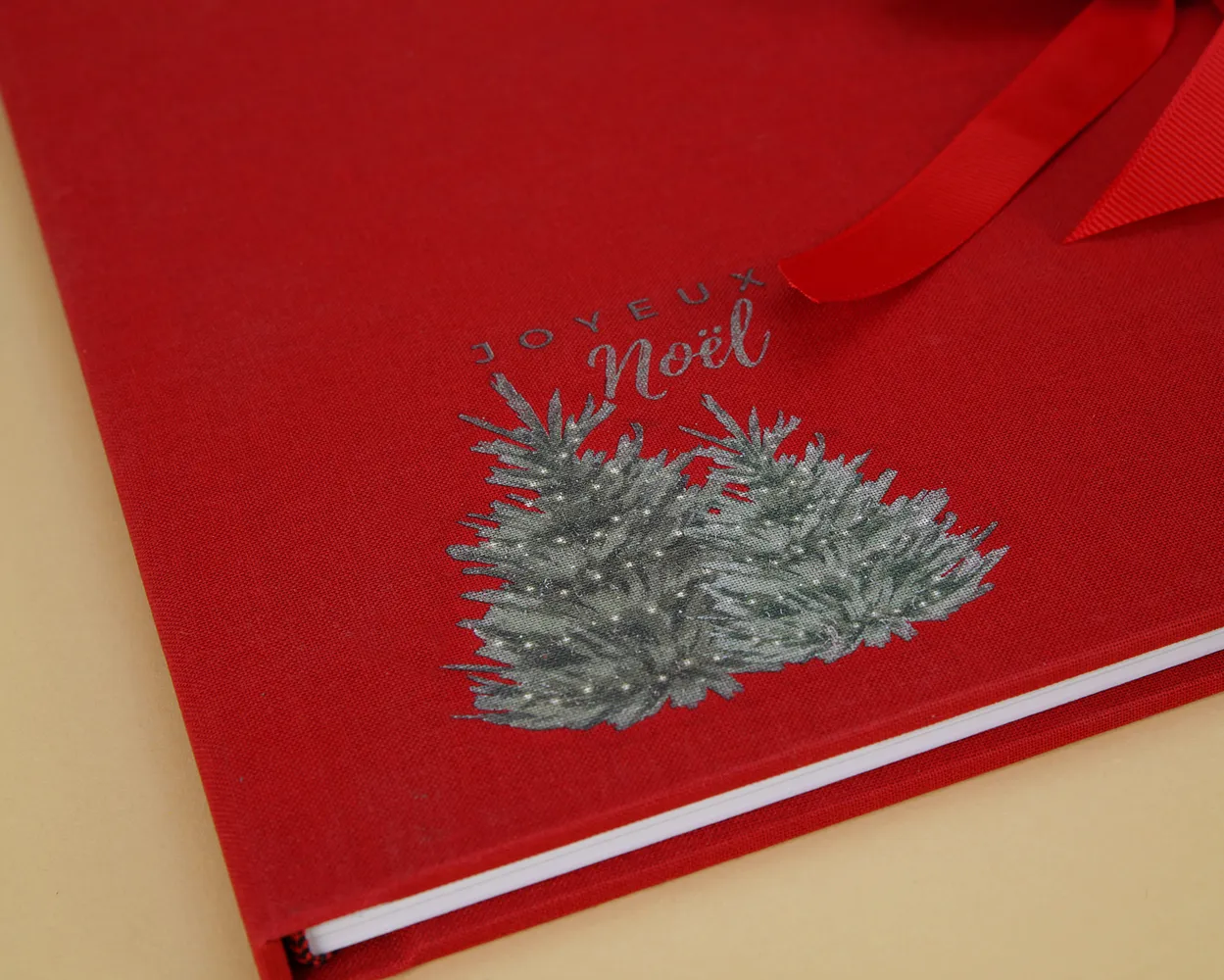 Eco Christmas Book