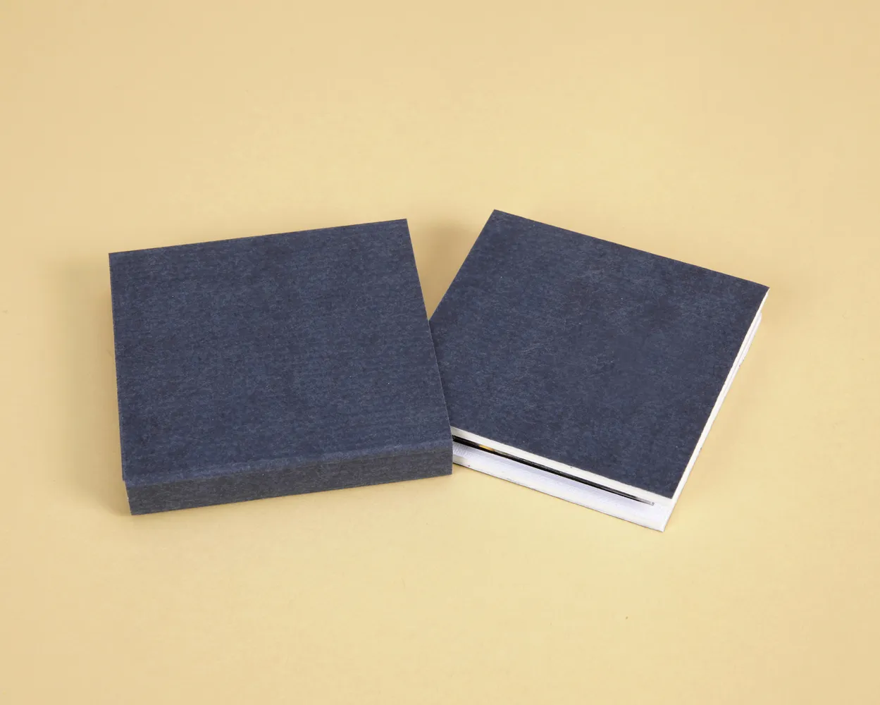 Christmas Mini Acordeón