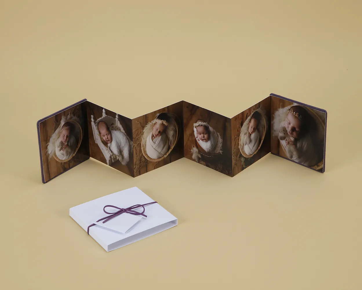 Acordeón fotográfico 